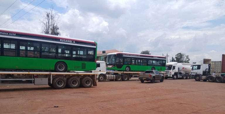Ibisi y’umuyagankuba mu Burundi